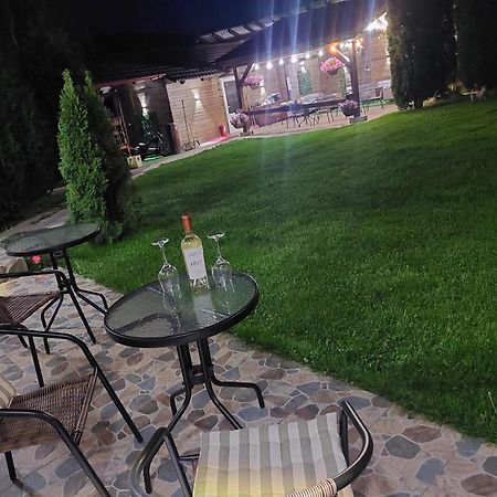 Vila Maria Sasciori Sebes Hotel Exterior photo