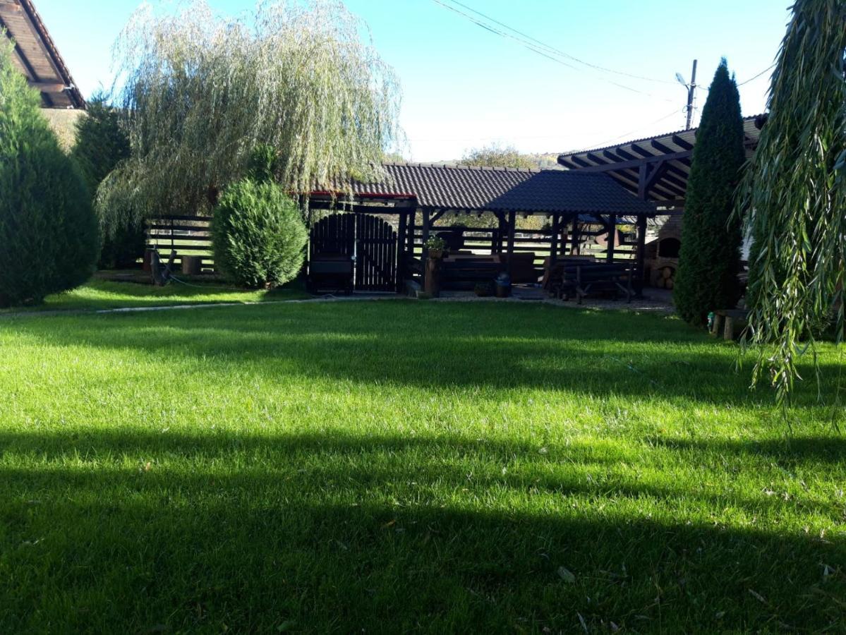 Vila Maria Sasciori Sebes Hotel Exterior photo