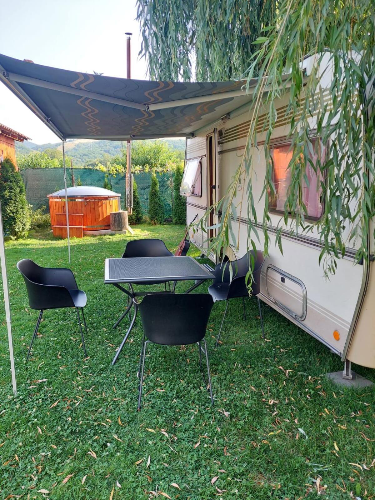 Vila Maria Sasciori Sebes Hotel Exterior photo