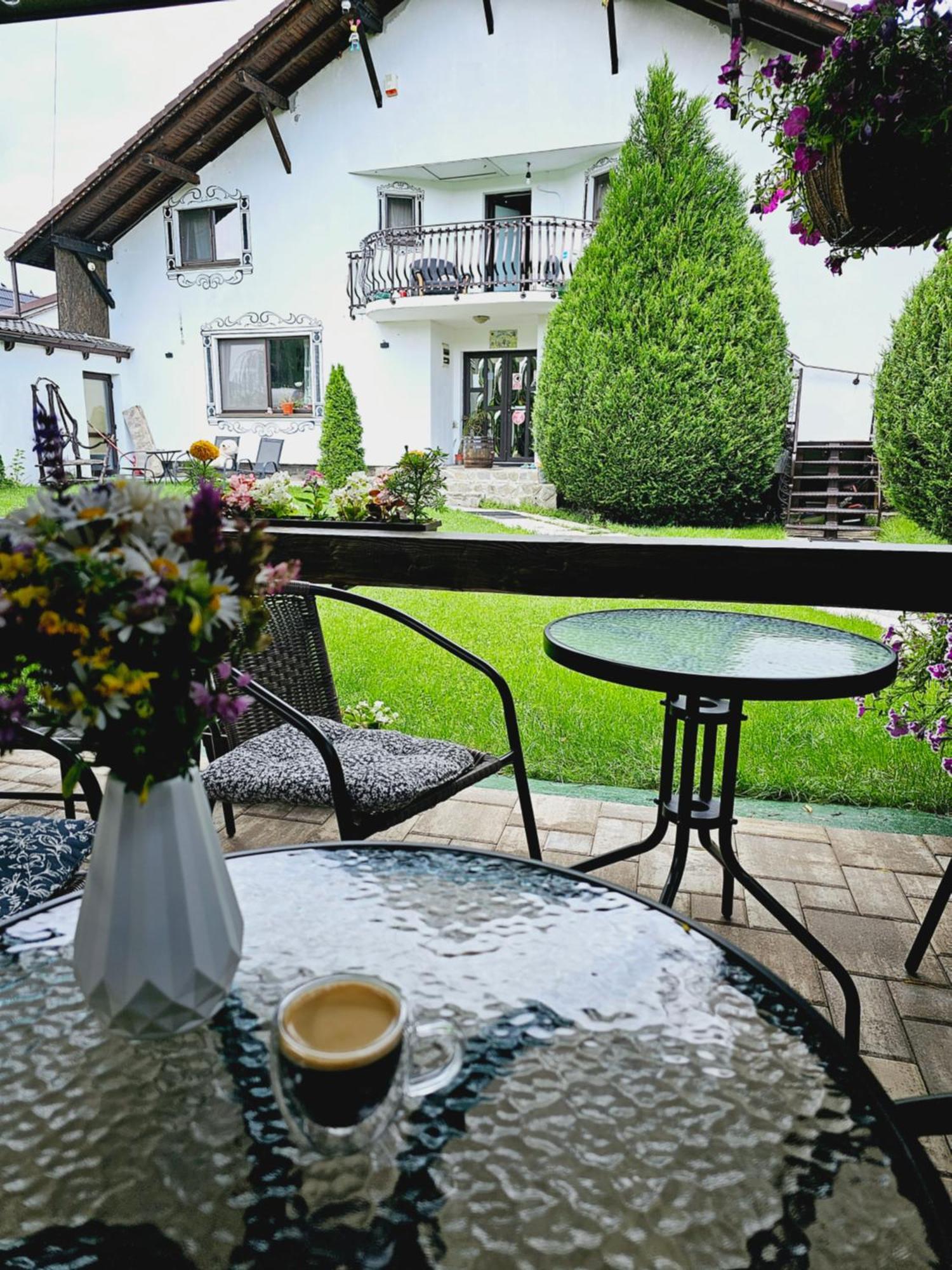 Vila Maria Sasciori Sebes Hotel Room photo