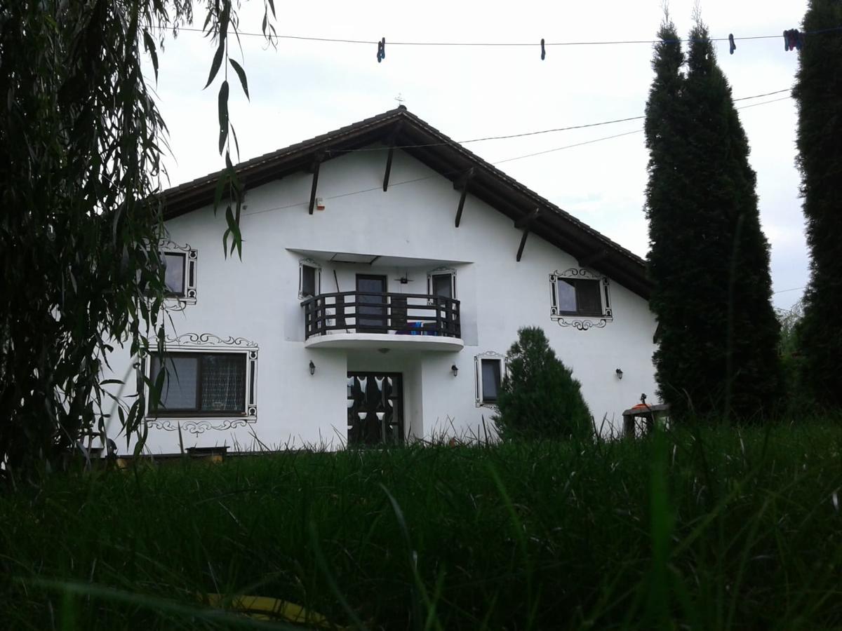 Vila Maria Sasciori Sebes Hotel Exterior photo
