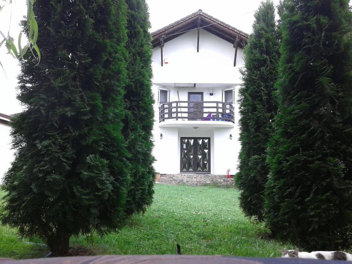 Vila Maria Sasciori Sebes Hotel Exterior photo