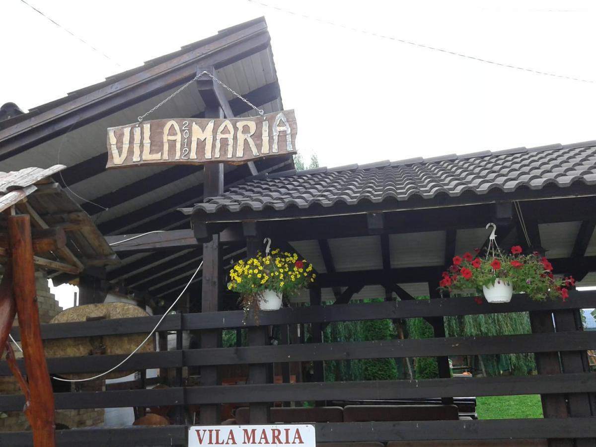 Vila Maria Sasciori Sebes Hotel Exterior photo