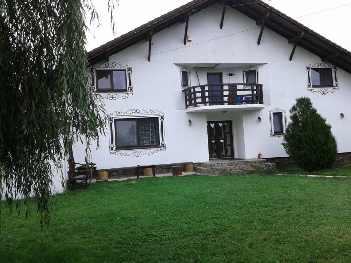 Vila Maria Sasciori Sebes Hotel Exterior photo